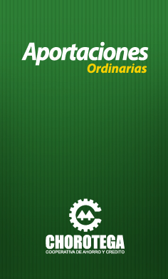 Aportaciones Ordinarias