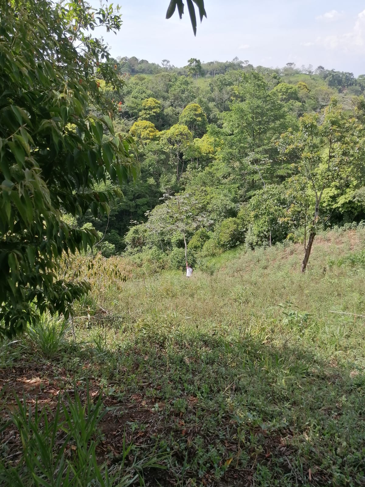 Vista 4