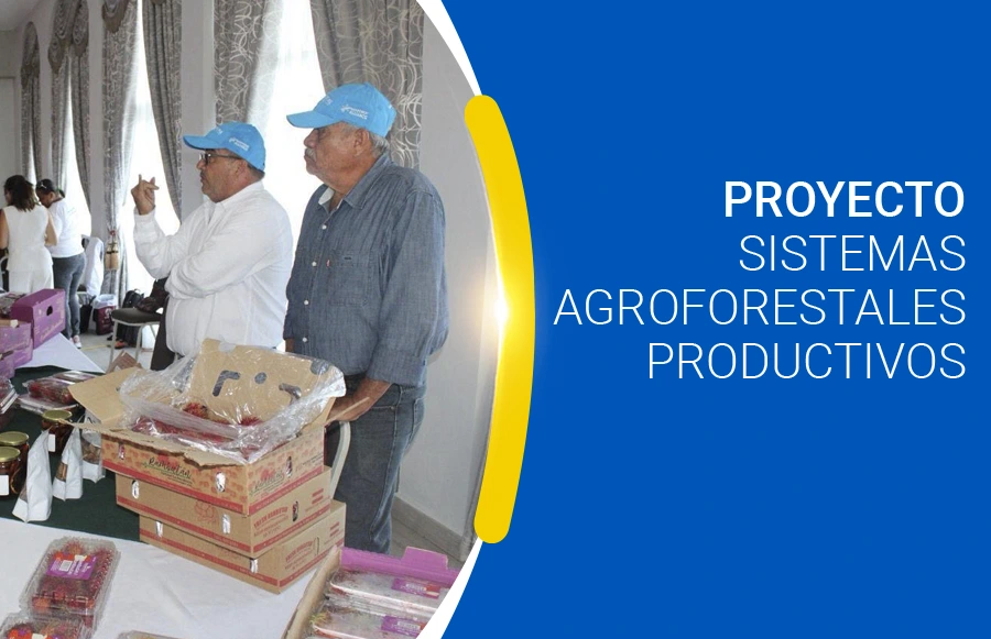 Proyecto Sistemas Agroforestales Productivos