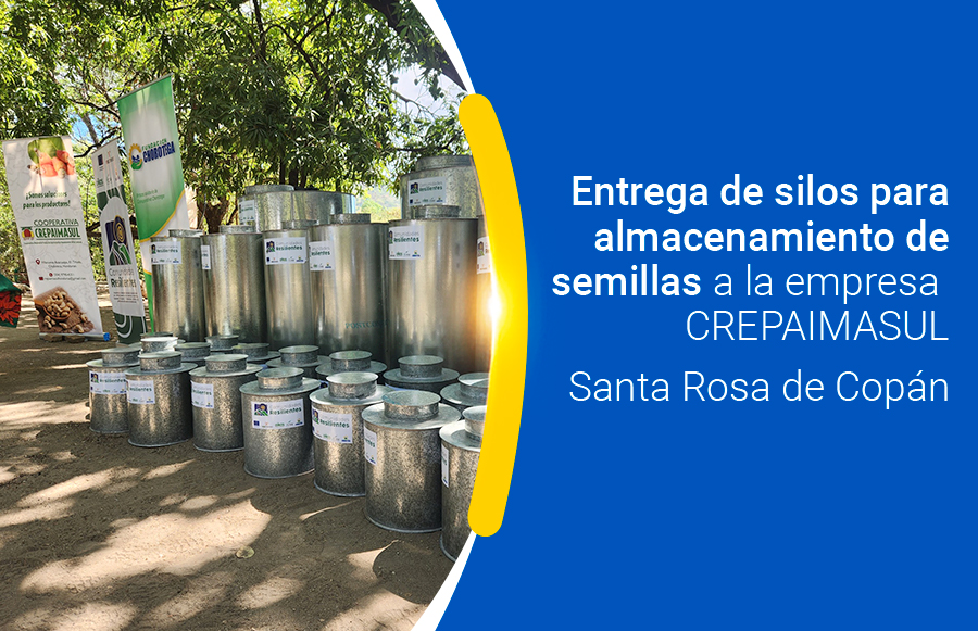 Impulsamos Empresas de Economía Social